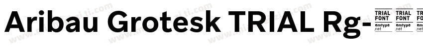 Aribau Grotesk TRIAL Rg字体转换